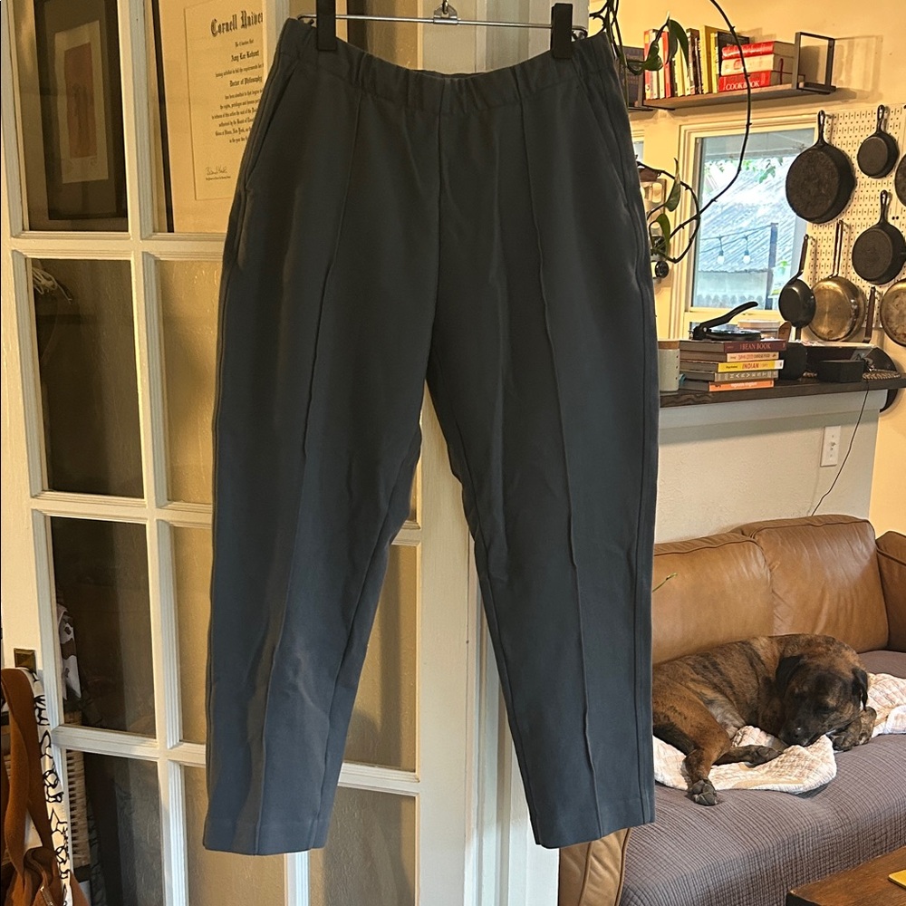 Everlane Dream Pant (L/Slate)